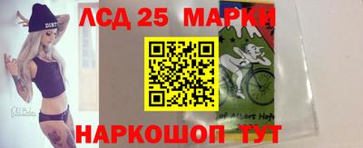 гашик Моздок