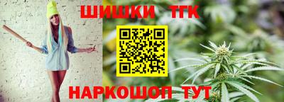 гашик Моздок