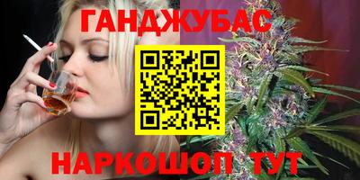 гашик Моздок
