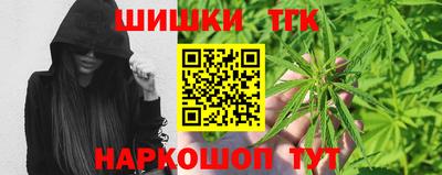 гашик Моздок
