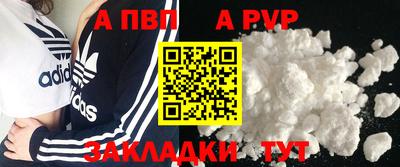 гашик Моздок