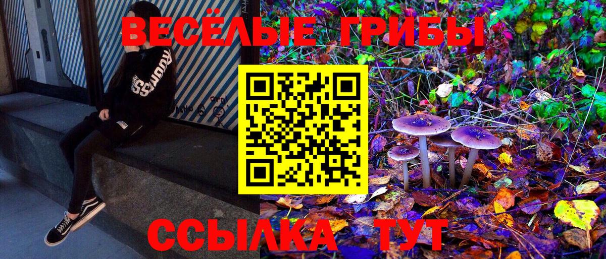 Псилоцибиновые грибы Cubensis  Вход с VPN  что такое наркотик  Воронеж 
