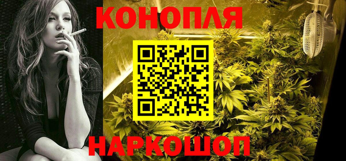 Воронеж  Бошки Шишки планчик  Вход с VPN  Бошки марихуана план  Канабис семена  Бошки Шишки сатива 